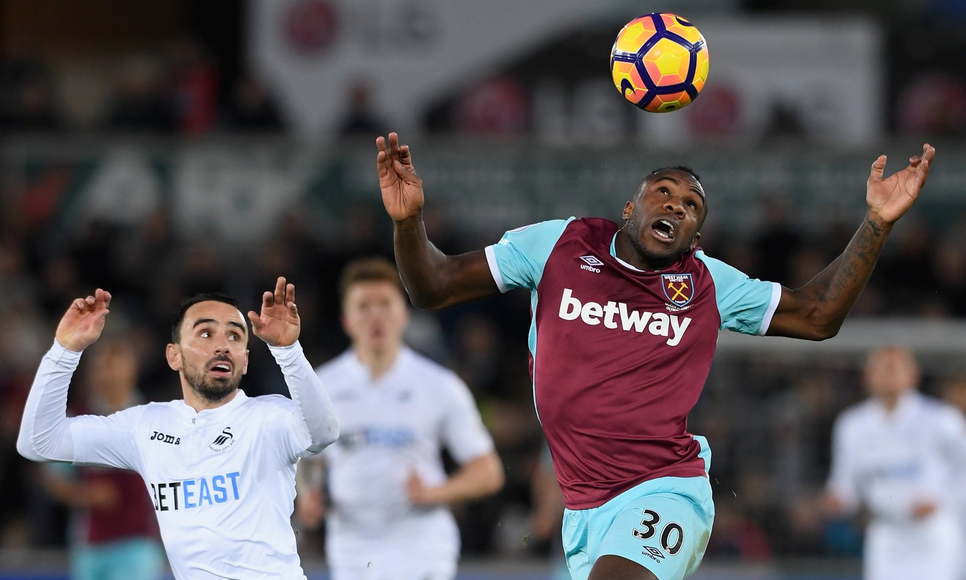 和顽强的意 和顽强的意